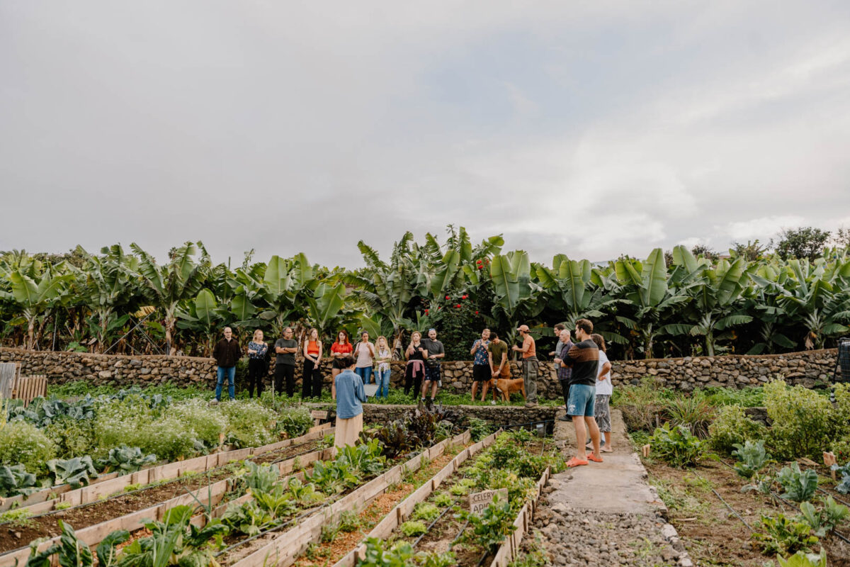 2023-12-04_Finca_Encuentro_Herbs_Workshop+Thai_Curry-DSC07816