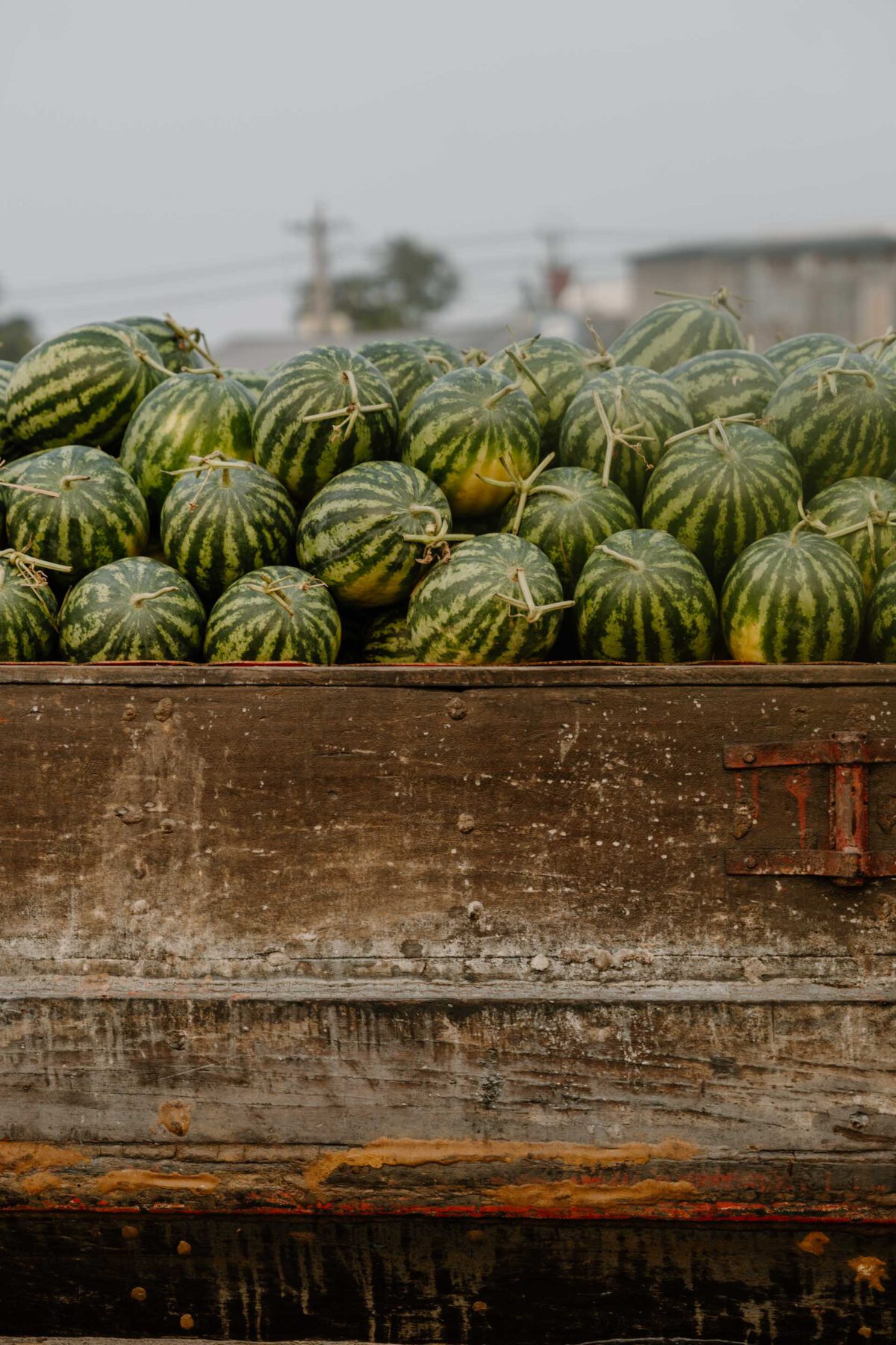 2024-03-18_Vietnam_Can_Tho_Mekong_Kristina_Fendesack_20